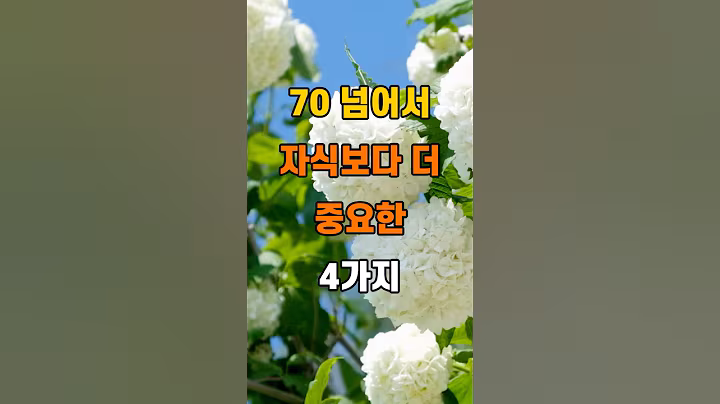 '70 넘어서 자식보다 더 중요한 4가지'  #명언 #좋은글 #건강 #지혜 #인생조언 #50代  #60代  #70代