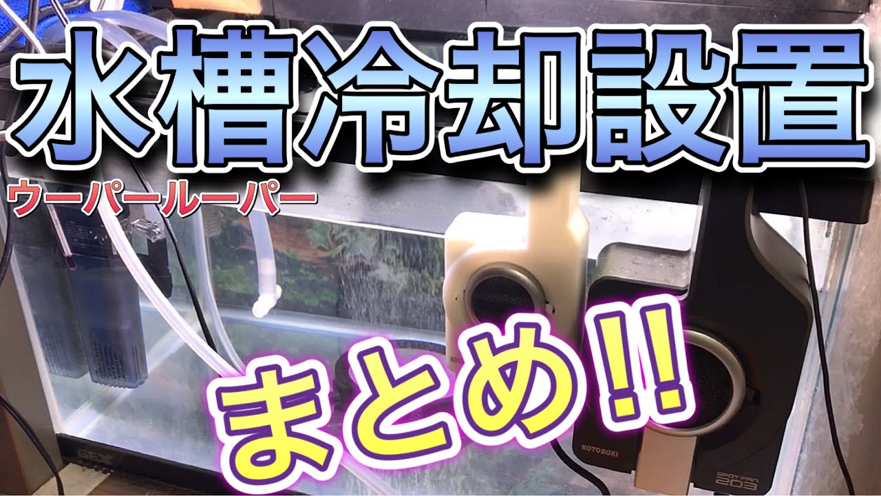ウーパールーパー飼育準備 11 手作りウパ水槽冷却装置まとめ ここまで来ました Youtube ウーパールーパー飼育準備 11 手作りウパ水槽冷却装置まとめ ここまで来ました Youtube