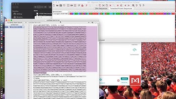 Annotation Manual Curation | Madeline Tolerico