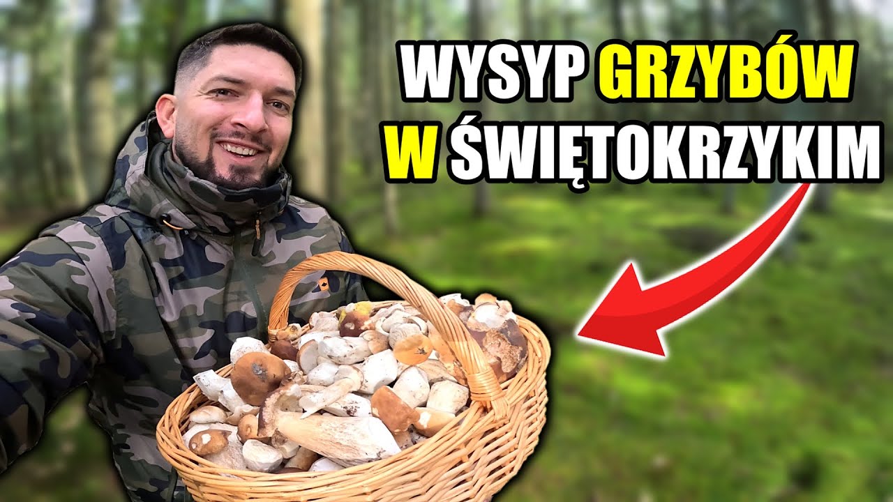 W KOŃCU SĄ! GRZYBOBRANIE w ŚWIĘTOKRZYSKIM!