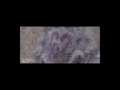 Genetic Algorithm -  From static to target image(with sound)