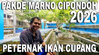 PAKDE MARNO, BETTA FISH BREEDER IN CIPONDOH - 2026