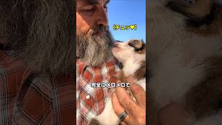 アメリカ人が大好きな意外なペット