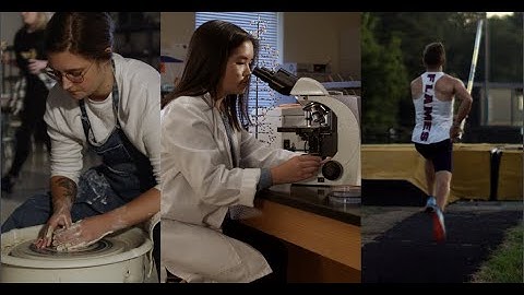 Lee University // High Expectations