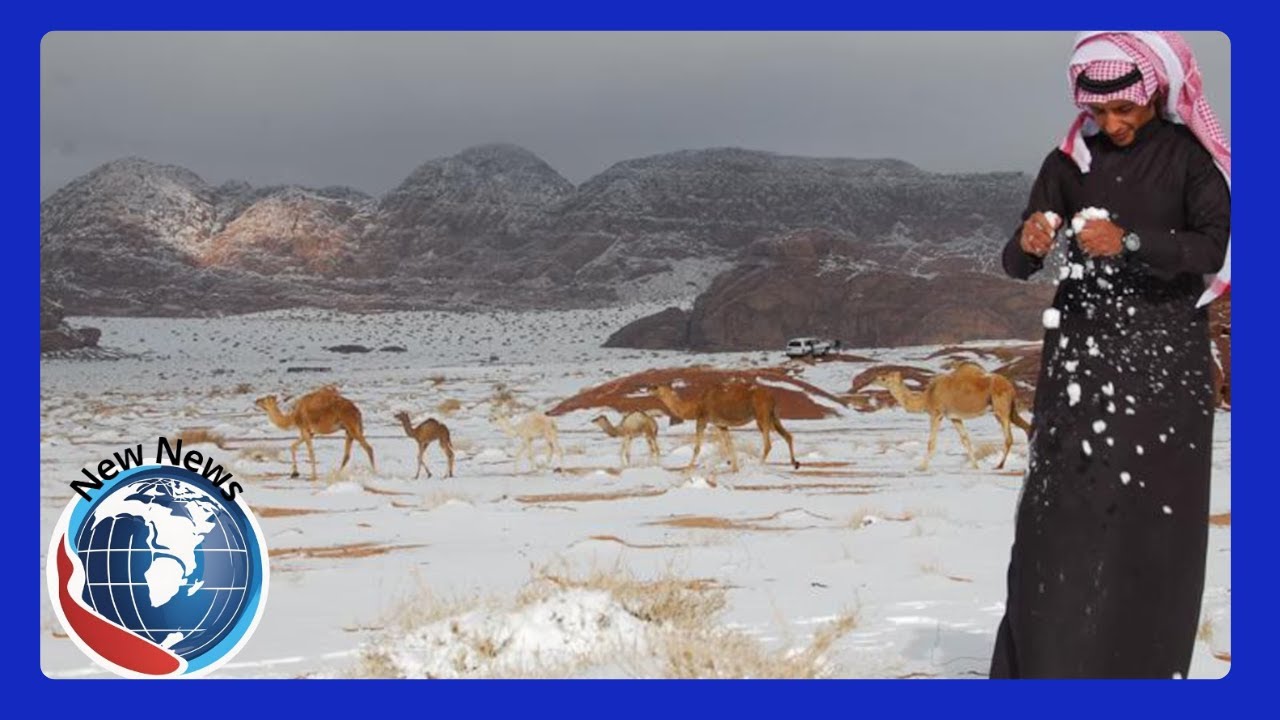 Saudi Desert Transformed by Rare Snowfall! Al Nafud Turns Into Winter Wonderland 🌨️
