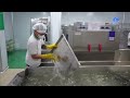 Tây Ninh thúc đẩy chuyển đổi số trong hoạt động khuyến nông | TayNinhTV