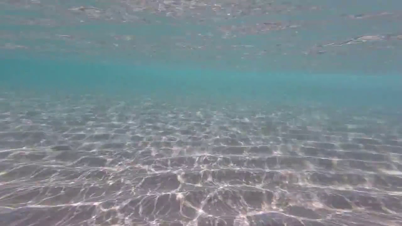 Oggi il mare del Salento