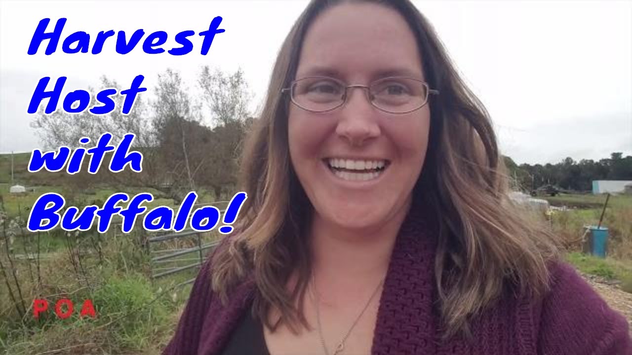 full time rving singles S1 E29: Harvest Host Stay Buffalo in MA ~ RV Nomads ~ Full Time RV living ~ POA vlog
