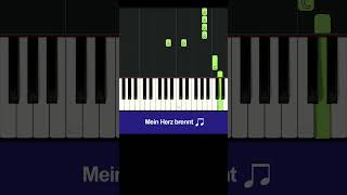 Mein Herz Brennt - Rammstein Piano Cover Resimi