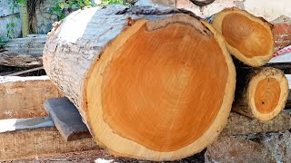 Full with beautiful fiber || Sawing a short 51-inch diameter teak wood