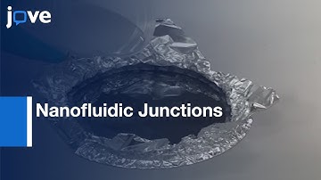 Nanofluidic Junctions Creation in PDMS Microfluidic Chip | Protocol Preview
