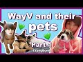 WayV and their Pets being a mess | Part 1