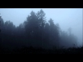 Miniature de la vidéo de la chanson Gloom, Beauty And Despair