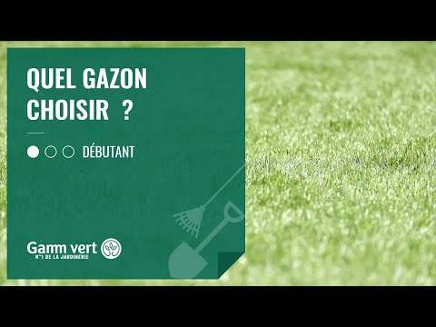 Comment semer pelouses et gazons ? - Gamm vert