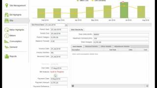 Bill Auditing - Utility InSite