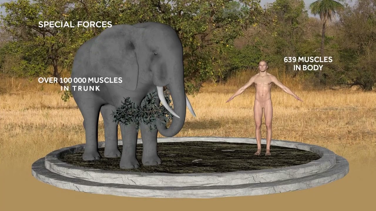 Special Forces Season 1 Episode 1