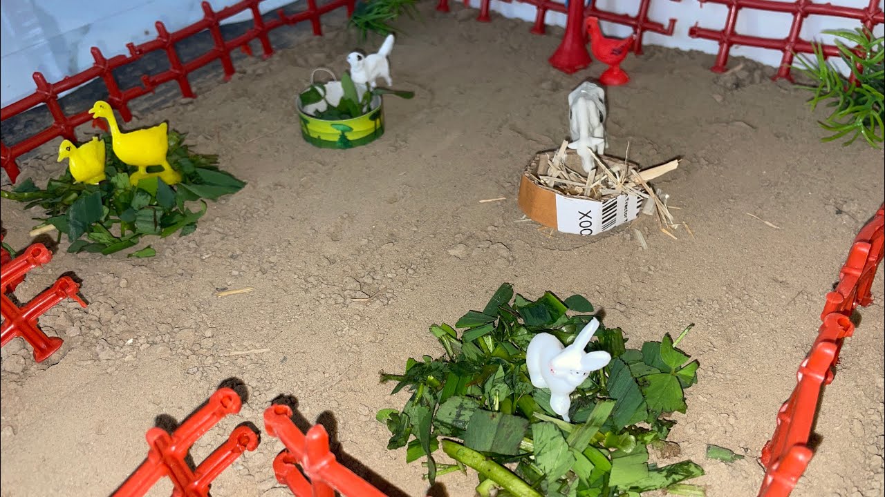 Mini Farm Me Aaj Chara Party 😍🌿