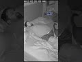 viral funny cat videos