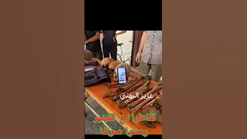 لما تروح تبحث عن اختك و اخوك و تلقيهم جماجم و عظام متحللة تفاعلوا مع الفيديو وصلوا صوت غزة 