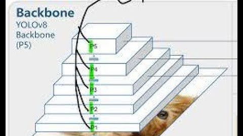 YOLOV8 TENSORRT inference ON REAL TIME