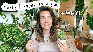 Houseplants I Don't Talk About + WHY  Plants I Never Show You
