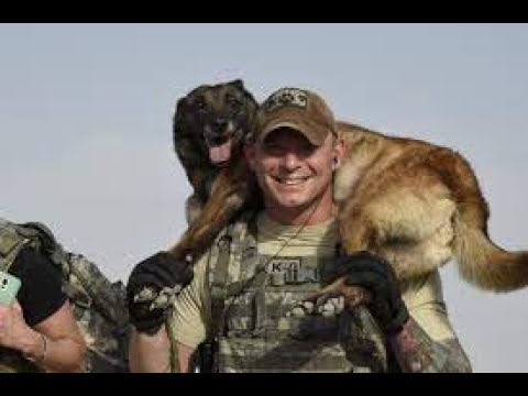 War Dog A Soldiers Best Friend