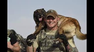 War Dog A Soldiers Best Friend