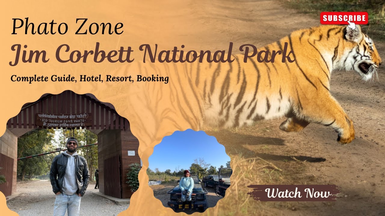 Tiger Sighting at Phato Zone Jim Corbett | Complete Guide to Jim Corbett National Park