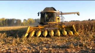 Moisson du maïs/corn harvest 2011 with New Holland CX880 in France