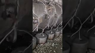 History of World War I wire