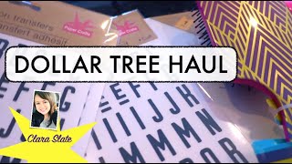 DOLLAR TREE HAUL