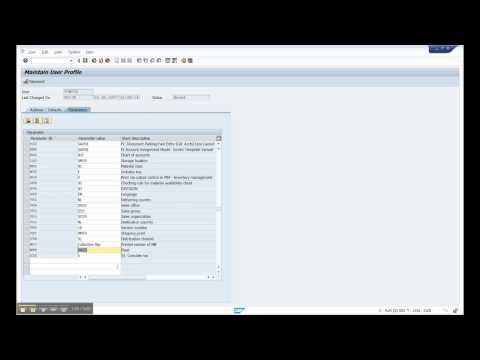 SAP Basiscursus Usersettings - Plant Amsterdam  (les 1)