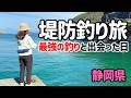 爆釣してる隣のおじさんの釣り方を真似したら35センチの魚が釣れて、楽し過ぎた釣り旅【2026.5】【静岡釣り】