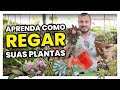 COMO REGAR CADA TIPO DE PLANTA | Uma aula completa de IRRIGAÇÃO com Murilo Soares | Spagnhol Plantas