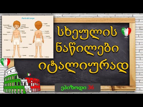 სხეულის ნაწილები იტალიურად | Parti del corpo | ეპიზოდი 36 💚🤍❤️