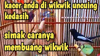 cara mengatasi jika sudah kerasukan wiwik anis makam suara uncuing kedasih @TUBBERCAT