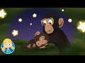 Sleep Tight Song - Doctor Poppy&#39;s Pet Rescue | Animals For Kids | Cartoon Animals