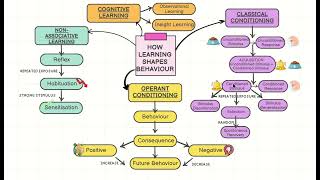 Famous Module 4 How Learning Shapes Behaviour Net Worth