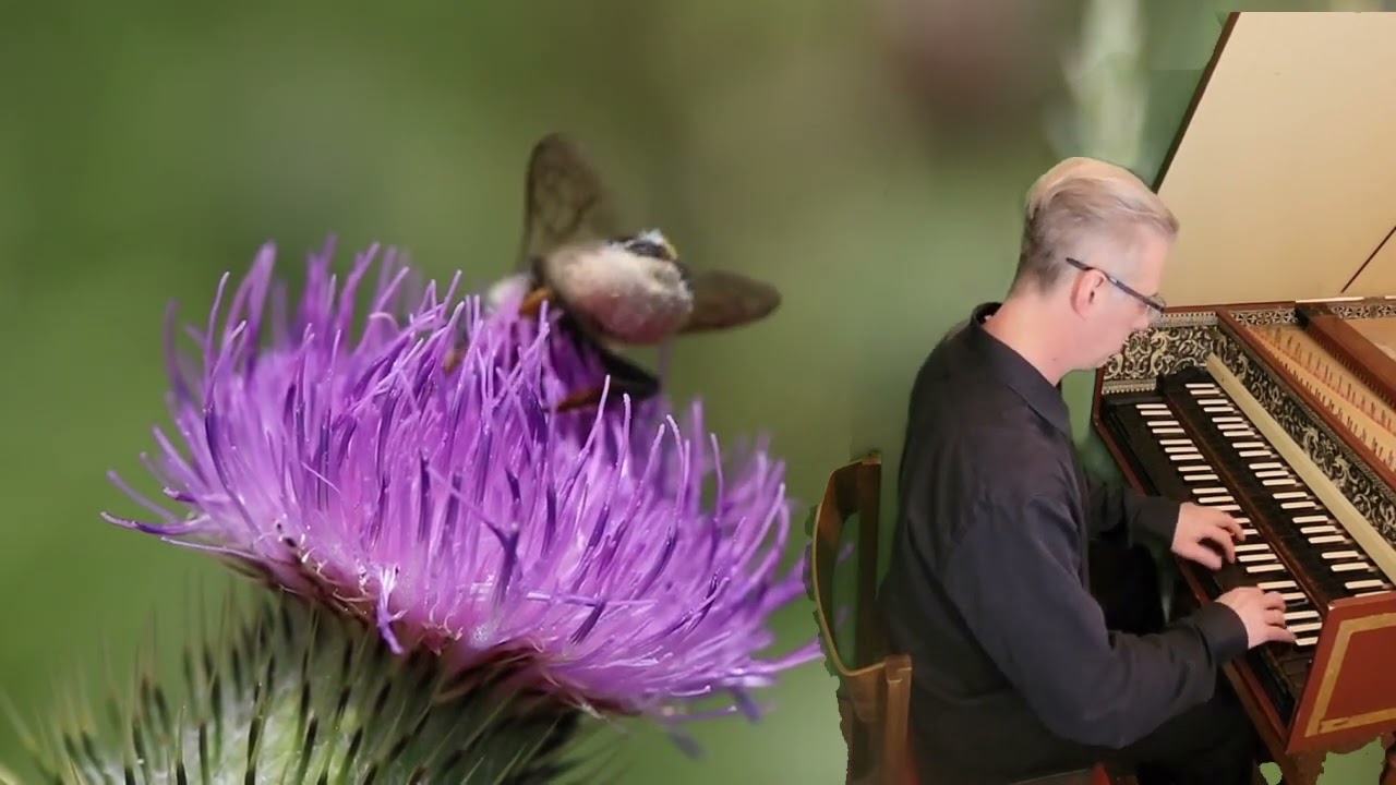 Scarlatti Sonata K. 9 in D Minor