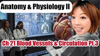 Ch 21 Blood Vessels and Circulation Part 3