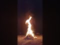 happy holi🫟#holispecial #ytshots #viralshort #viral @Mousumi.Lifestyle