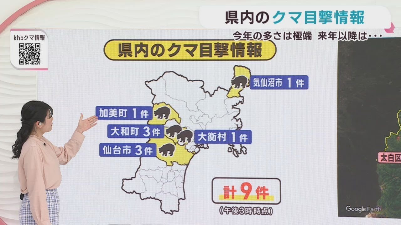 クマの目撃情報 宮城県 3日午後3時〜4日午後3時 - YouTube