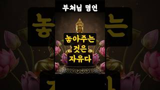 50대를 위한 평온: &#39;놓아주는 것은 자유다&#39; | 부처님 지혜 | 마음 다스리기 | 힐링 쇼츠