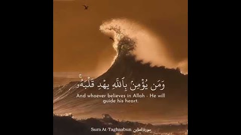 سورة التغابن ، عمر الدريويز