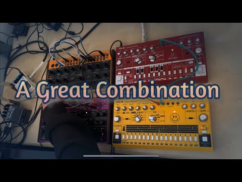 Behringer CRAVE ＆ TD-3 セット Behringer Crave Vs TD 3 Budget Monosynth Showdown - YouTube