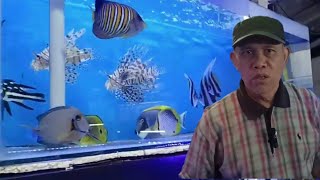Review Harga Ikan Laut Dan Coral Di Menteng Jakarta Jakarta Pusat