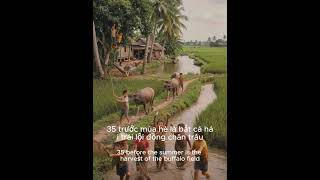 Childhood in Rural Vietnam #Shorts #YouTubeShorts #Viral #Fyp #Explore #Trending #Asia #AsianCulture