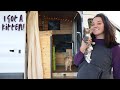VANLIFE KITTEN | Adventure Cat joins Solo Female Vanlifer | Vanlife with a Cat