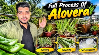How to Grow AloeVera at Home 🌱 | Full Process From Start to End