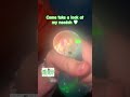 Ts vid is so risky cuz I stole it from some1- #s1ll7_m34d0w #needoh #popular #trending #fyp #pretty